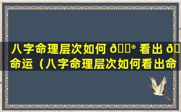 八字命理层次如何 💮 看出 🐯 命运（八字命理层次如何看出命运好不好）